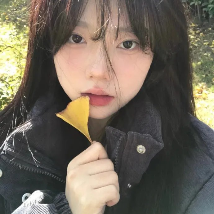 年少轻狂第四季 在线观看